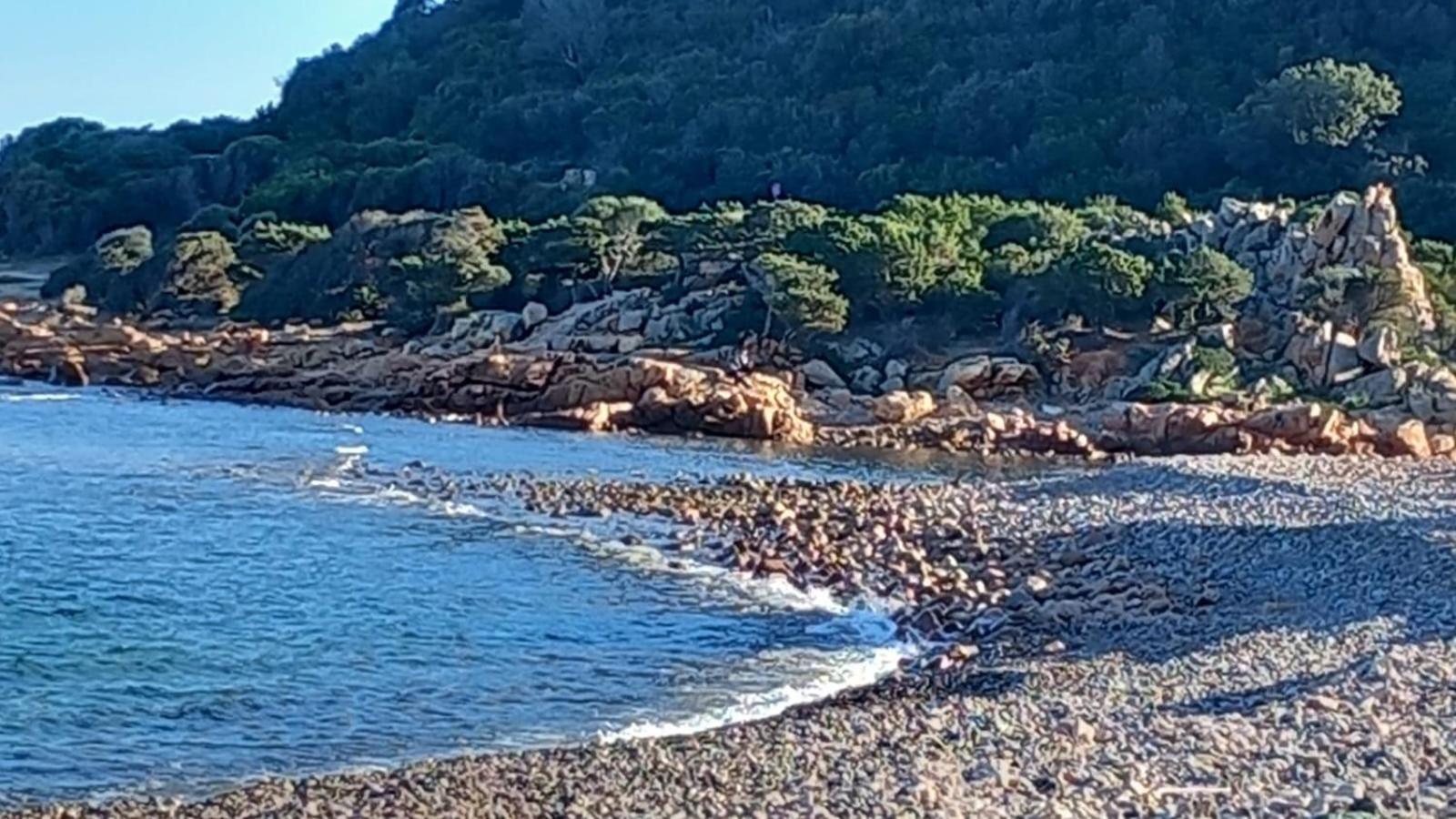 Orchid House Διαμέρισμα Bari Sardo Εξωτερικό φωτογραφία
