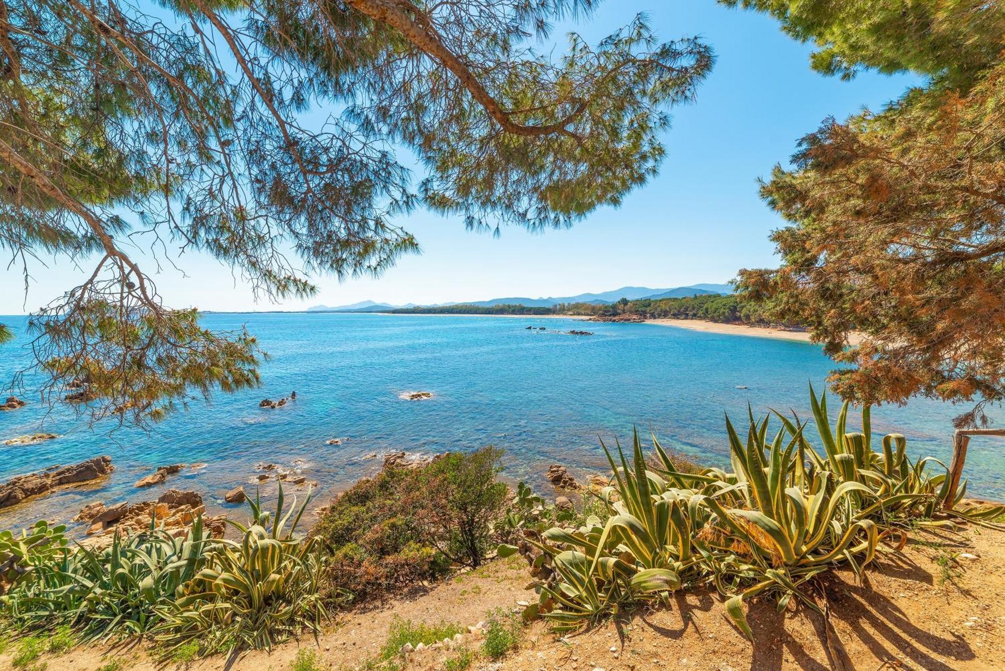 Orchid House Διαμέρισμα Bari Sardo Εξωτερικό φωτογραφία